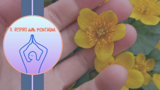 il respiro della montagna yoga chiara bonel misurina massaggio breuss