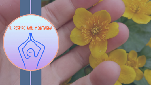 il respiro della montagna yoga chiara bonel misurina massaggio breuss